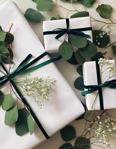 Festive WHITE Greenery Christmas Recyclable Wrapping Paper Set WHITE Eco  Friendly Gift Wrap 