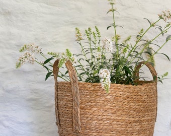 Handwoven Seagrass Plant Basket or Storage Baskets with Handles Oval  Natural Scandi Home, Mothers Day Gift, New Home Gift