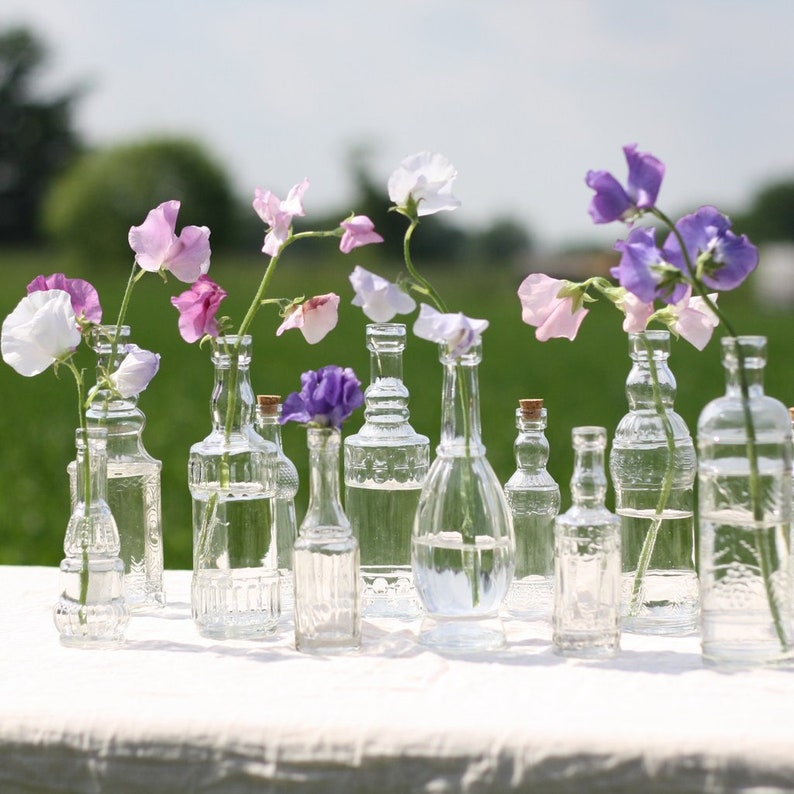 6 x Glass Bottles With Cork Stoppers, Wedding Vases, Centrepiece Decorations, Rustic, Summer Weddings image 5