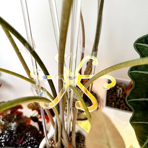 Iridescent Stem Supports
