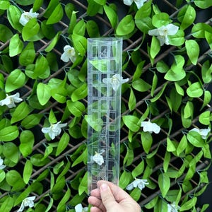 Puede incluir: Un panel de enrejado de plástico transparente con aberturas cuadradas. El panel está diseñado para ser utilizado como soporte para plantas trepadoras.