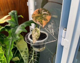Clear suction Cup Pot Holder
