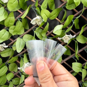 May include: A hand holding a stack of clear, cone-shaped plastic bags. The bags are transparent and have a pointed bottom. The background features green leaves, white flowers, and a brown trellis.