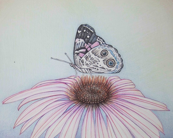 Featured image of post Pencil Work Pencil Drawings Of Flowers And Butterflies - 11:51 draw with shivani 9 390 просмотров.