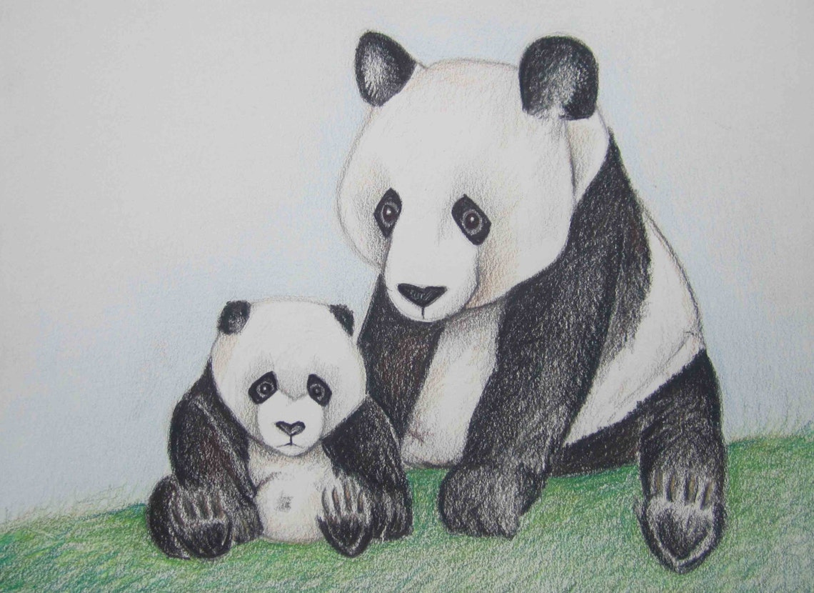 Pencil Art Work Panda Love1 Original Drawing-Print | Etsy