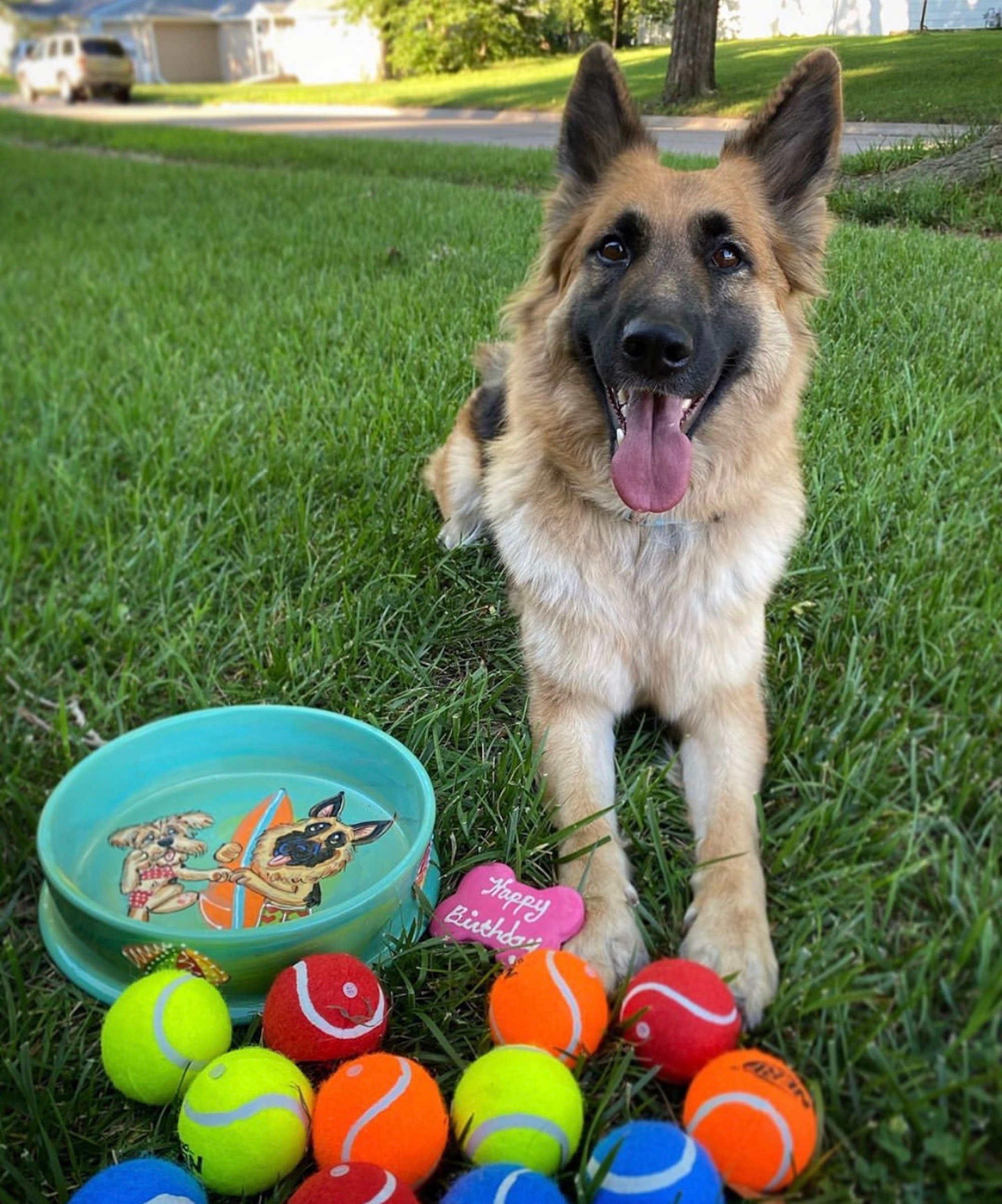 GERMAN SHEPHERD Large Ceramic Food water Bowl Gift a Personalized Pet Bowl for Dog Lover Customize W photo Hand painted by Debby Carman Etsy Canada