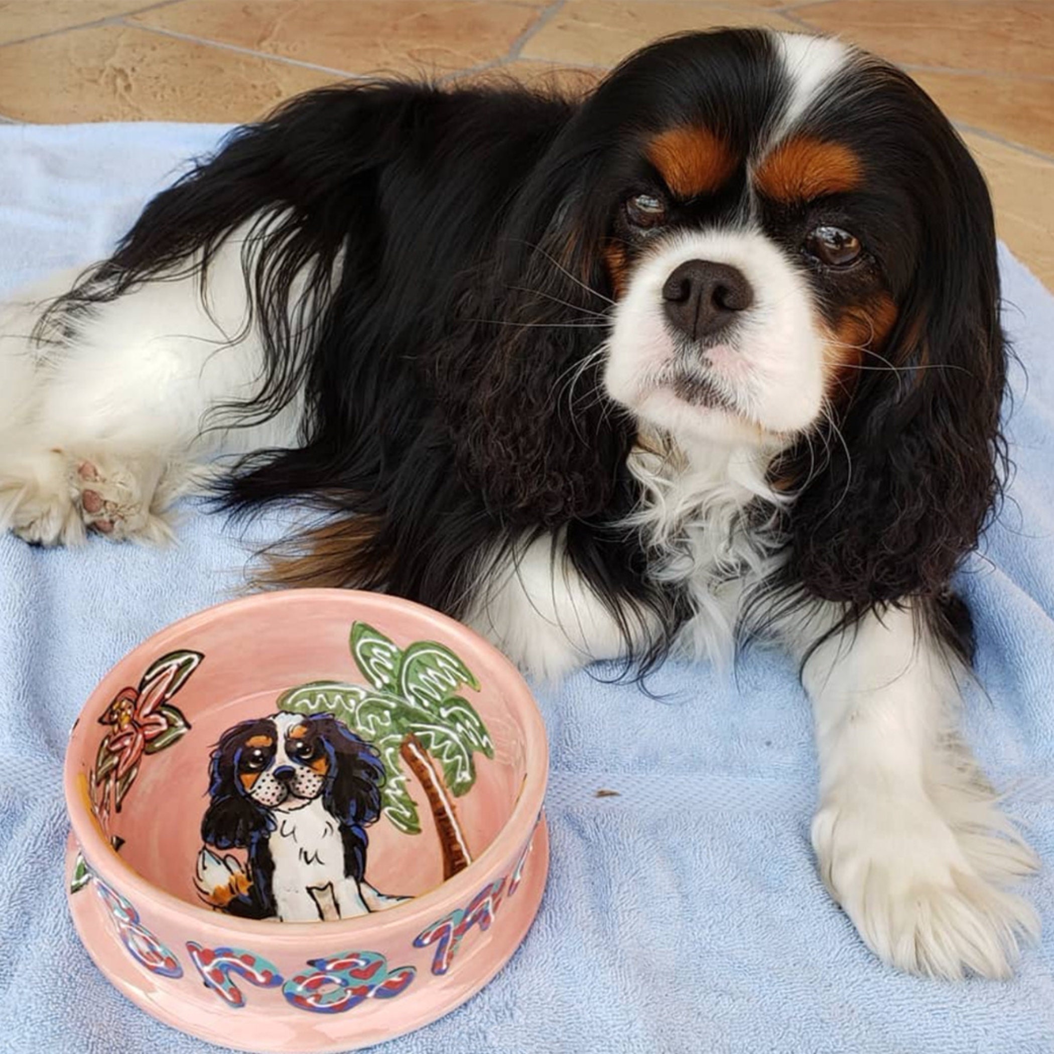 Cavalier Pets, Dog Bowl Mat for Cat and Dog Bowls, Silicone Non-Slip  Absorbent W