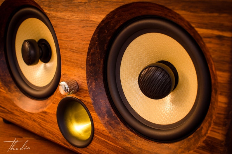 thodio speaker