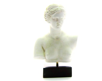 アクロポリス博物館の石の鋳造品、博物館品質のギリシャ彫刻のコレ