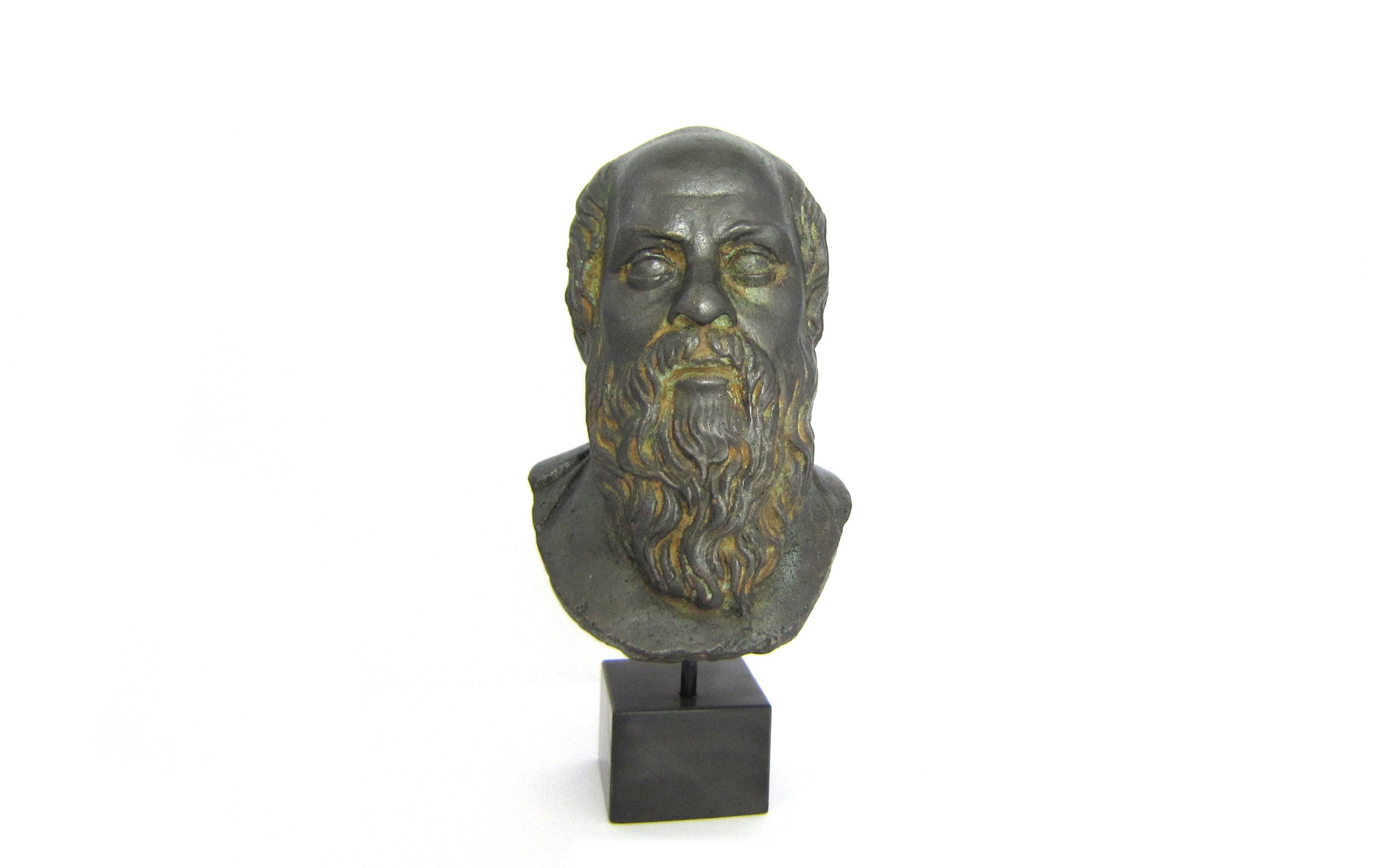 Verdigris effect  Socrates stone casting   bust