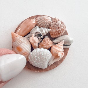 May include: A small wooden circle with a variety of seashells in shades of white, pink, and brown. The shells are arranged in a circular pattern.