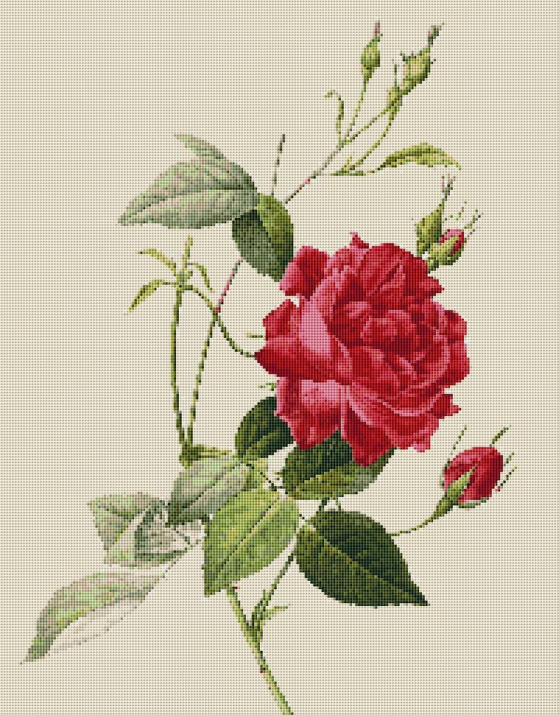 Flower Counted Cross Stitch Pattern Rose by Pierre Joseph Etsy