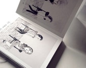 Quadrilha Concertina Book . Art Book