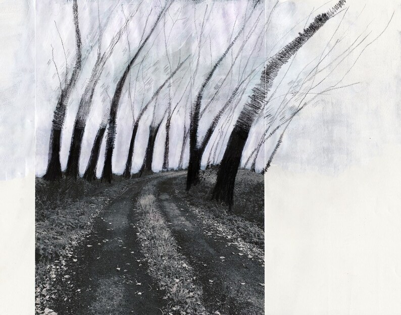 May include: A black and white drawing of a winding dirt road leading through a forest of bare trees. The trees are drawn with a textured, brushstroke style, and the road is lined with fallen leaves.