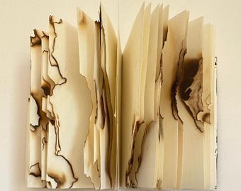 FIRE BOOK 3 [2024] artist's book #anafrois