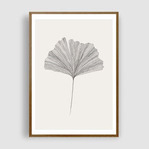 GINKGO LEAF N.3 (pencil drawing) by #anafrois . art print