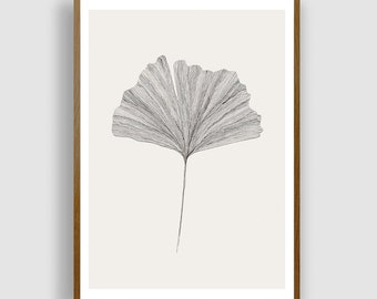 Ginkgoblad nr. 3 (potloodtekening) van #anafrois. Kunstprint.