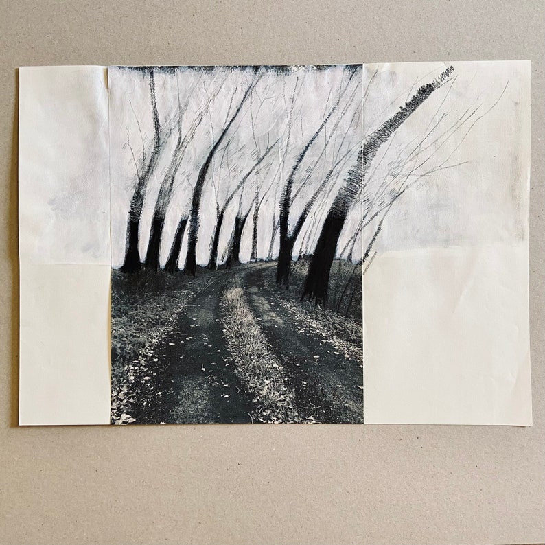 May include: A black and white drawing of a path through a forest. The trees are drawn with thin lines and the path is shaded in a darker tone.