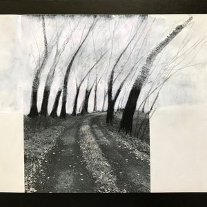 May include: A black and white drawing of a winding road through a forest of trees. The trees are drawn with thick, dark lines, and the road is drawn with thinner, lighter lines. The drawing is done in a realistic style.