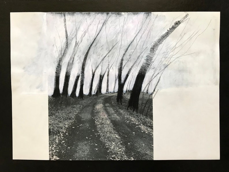 May include: A black and white drawing of a winding road through a forest of trees. The trees are drawn with thick, dark lines, and the road is drawn with thinner, lighter lines. The drawing is done in a realistic style.