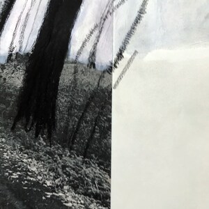 May include: Abstract art painting with black and white brushstrokes. The left side of the painting features a dark, textured background with white brushstrokes. The right side of the painting is white with black brushstrokes.