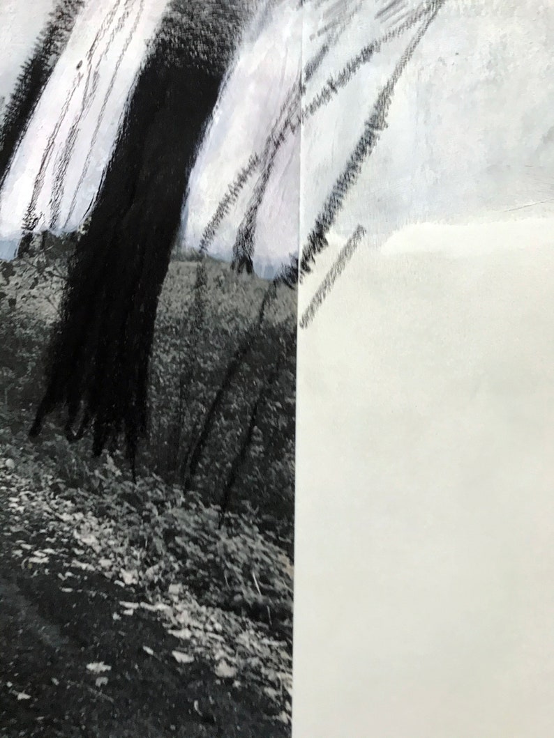 May include: Abstract art painting with black and white brushstrokes. The left side of the painting features a dark, textured background with white brushstrokes. The right side of the painting is white with black brushstrokes.
