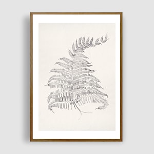 Pode incluir: Um desenho a preto e branco de uma samambaia numa moldura de madeira. A samambaia é desenhada de forma estilizada, com as frondes a parecerem uma série de laços.