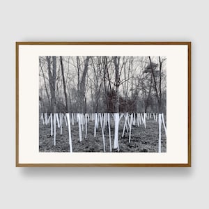 WHITE CHALK N.1 by #anafrois . art print