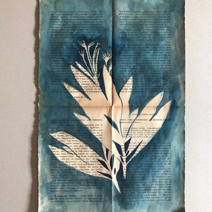 Könnte beinhalten: Ein blauer und weißer Cyanotypieabdruck einer Pflanze auf einer Buchseite. Die Pflanze ist vor dem blauen Hintergrund silhouettiert. Der Text auf der Seite ist durch die Pflanze sichtbar.