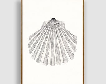 SHELL N.1 by #anafrois . art print