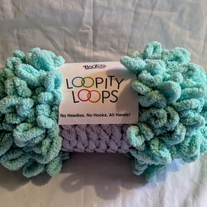 May include: A large, fluffy ball of turquoise yarn with a label that reads "LOOPITY LOOPS". The yarn is a soft, looped texture, perfect for crafting. The label also states "No Needles. No Hooks. All Hands!"