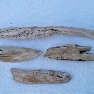 4 Pieces of California Driftwood Arts Crafts Air Plants Terrarium Decor
