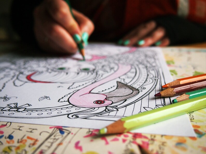 May include: A person coloring a detailed black and white drawing of a flamingo with colored pencils. The flamingo is pink with a black head and a red beak. The drawing is on a white sheet of paper.