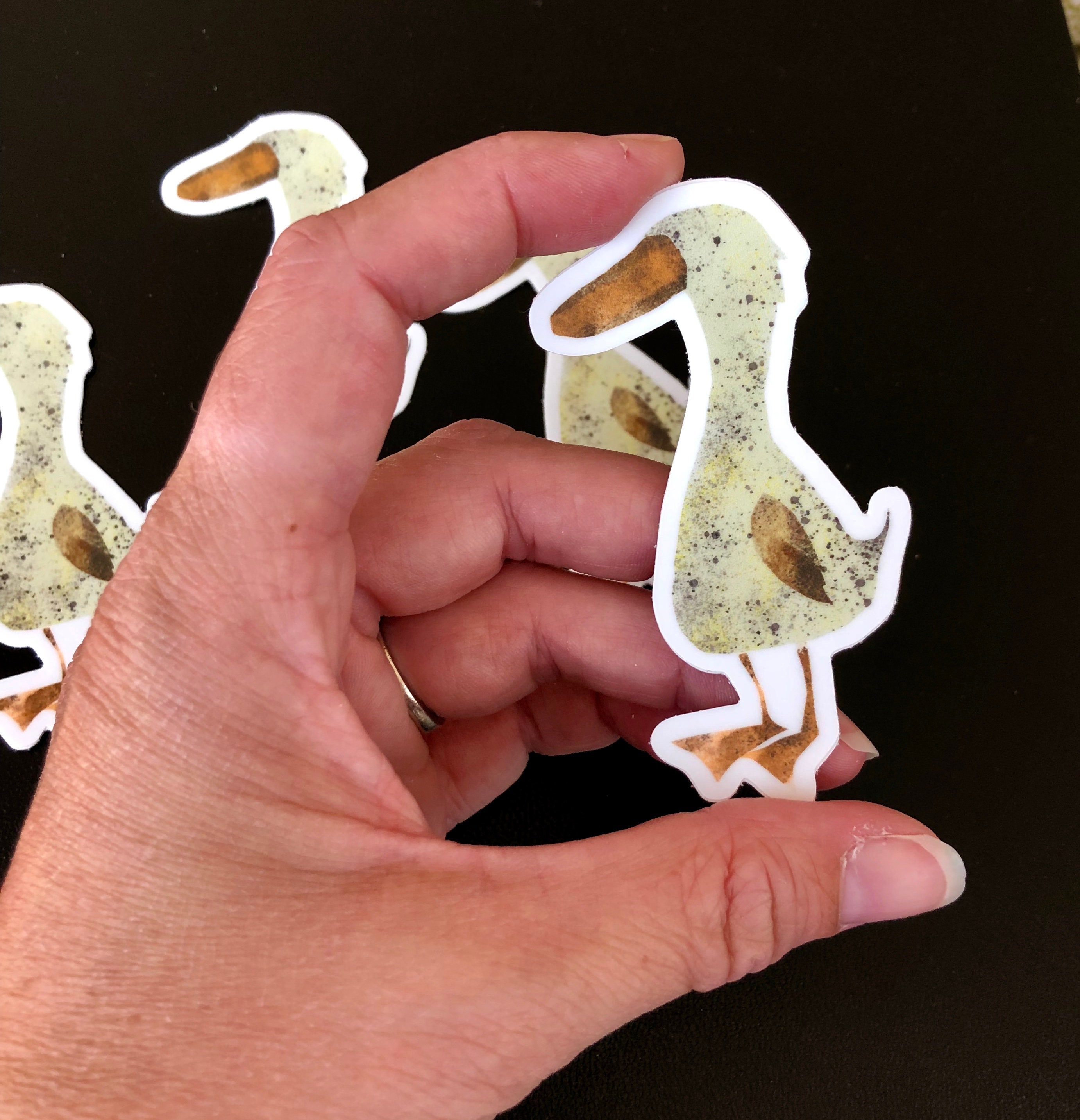 Friendly Little Duck Sticker Set of Three Stickers - Etsy