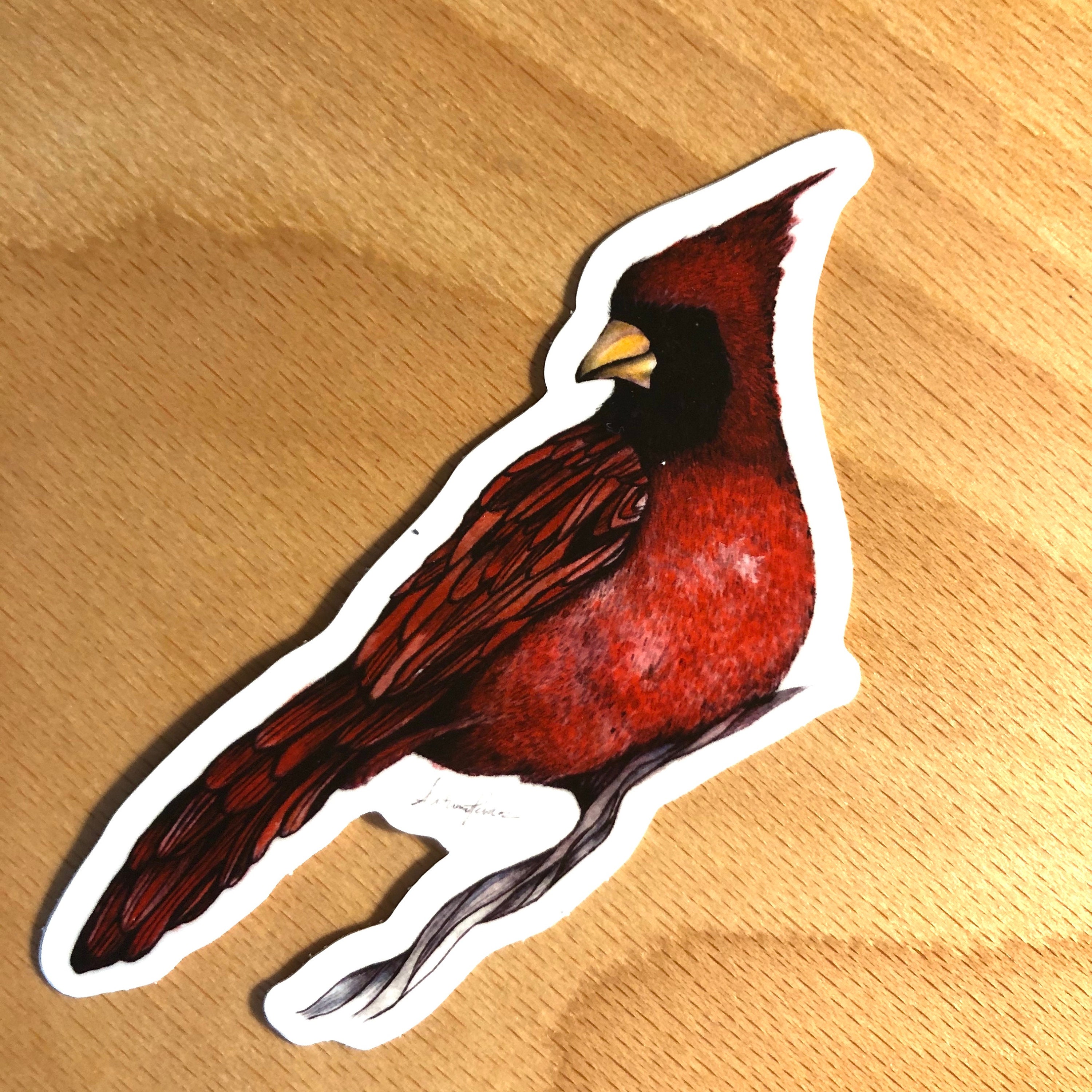 Red Cardinal Diecut Sticker Etsy