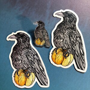 Set of 3-Raven and pumpkin magnet, sticker and pin