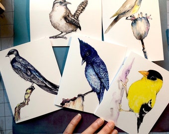 The Bird Collection- Blank Notecards-Set of 5