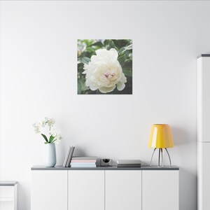 Mostly Open White Peony with Pink Tipped Petals - Matte Canvas, Stretched, 0.75&quot;