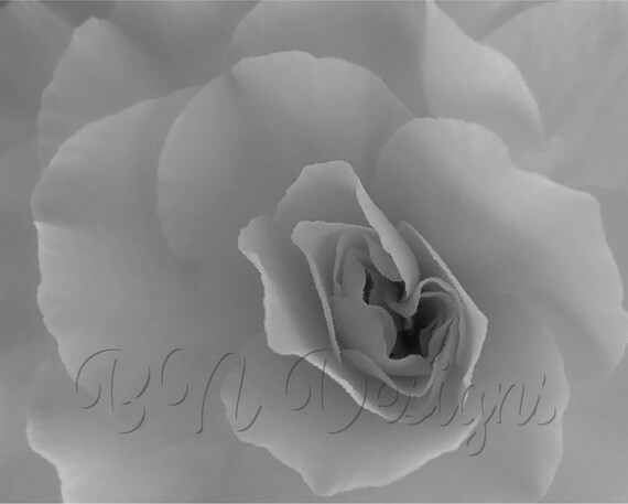 8x10 Painted Black and White Flower Photo - Personal & Commercial Use - Digital Download