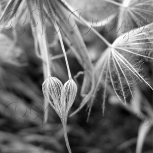 8x10 Flower Heart - Personal & Commercial Use - Digital Download