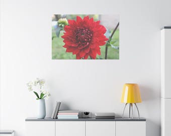 Horizontal Red Dahlia Flower Photograph - Matte Canvas, Stretched, 0.75"