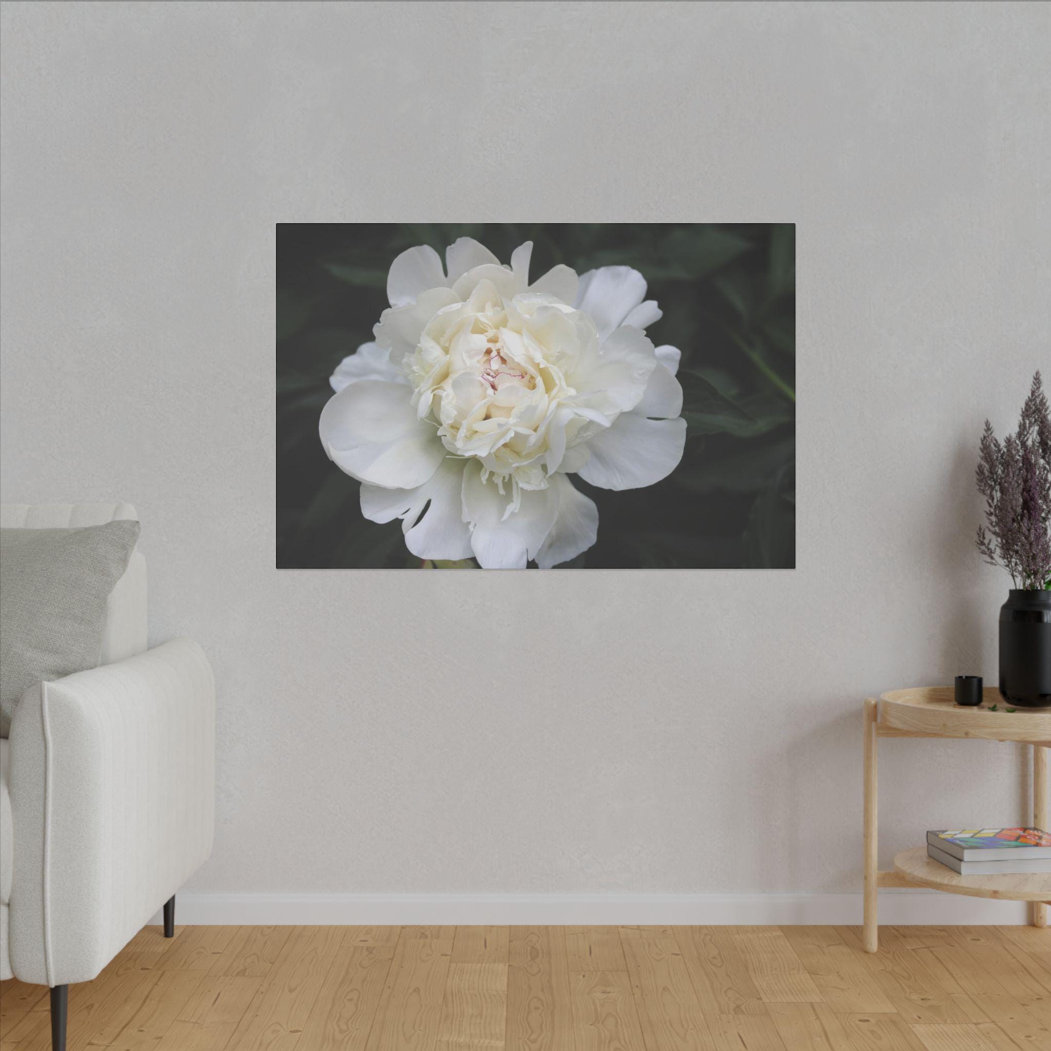 Fully Open White Peony With Pink Tipped Petals - Matte Canvas