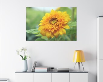 Left Facing Dwarf Sunflower Photograph - Matte Canvas, Stretched, 0.75"