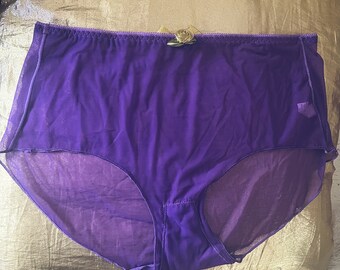 Sheer Nylon Tap Panties - Etsy