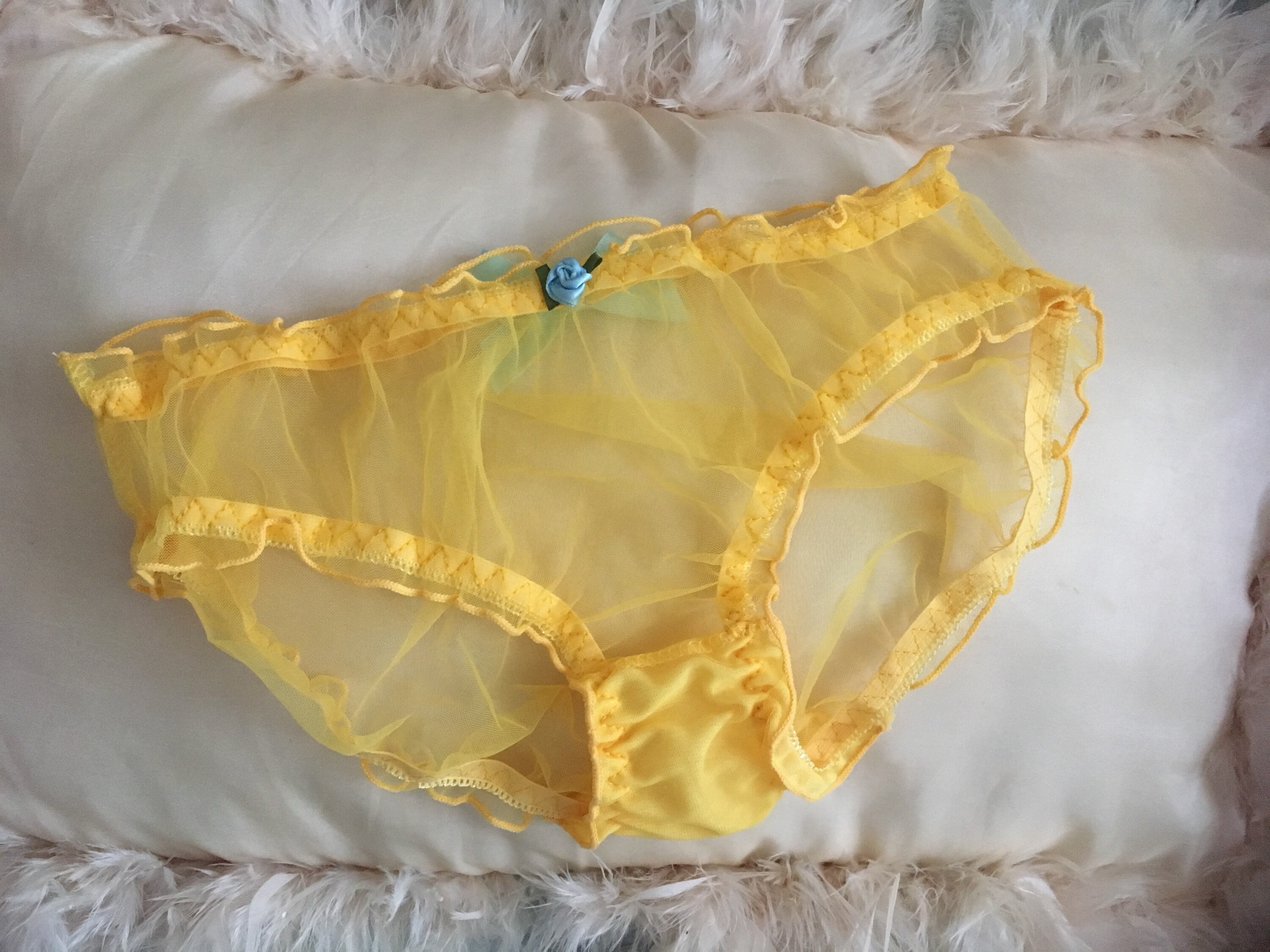 Yellow sheer hipster panties with blue rose bud and ribbon Etsy