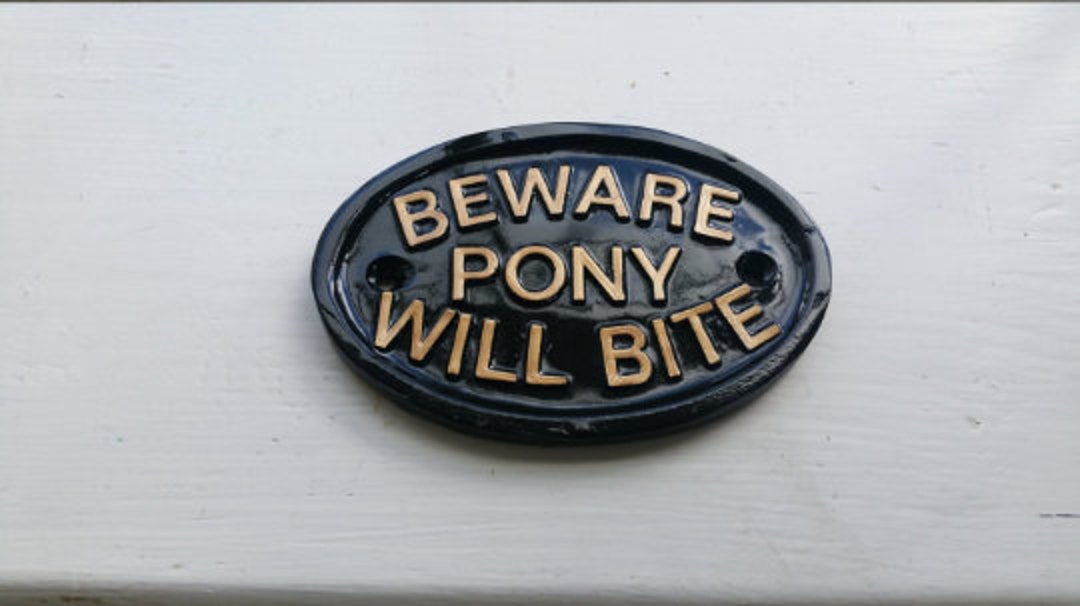 Beware Pony Will Bite ,horse,pony,saddle,donkey , Riding Boots Etsy