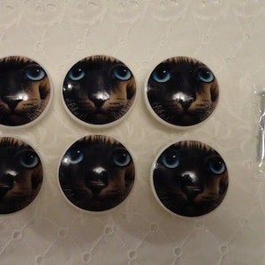 May include: Six white ceramic cabinet knobs with a cat face design. Each knob features a close-up of a cat's face with blue eyes and a brown and black fur pattern. The knobs come with six silver screws.