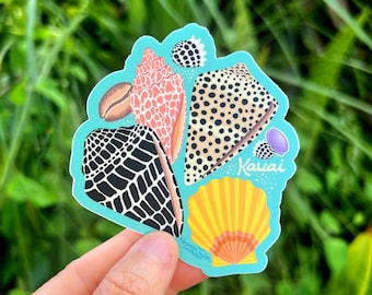 Shells of Kauai Sticker Large, Shell Stickers, Hawaii sticker, Sunrise Shell, Sea Shell sticker, Hawaii Shells, Kauai Shells, Hawaiian Shell