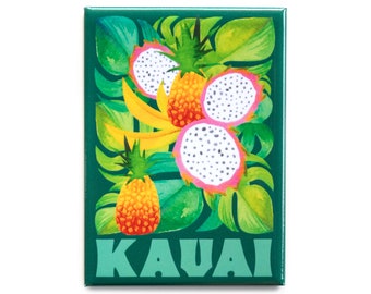 Imán de frutas Kauai, Imanes Kauai, Imán, Imán de recuerdo, Imán de Hawaii, Imán de refrigerador, Imán tropical, Dragonfruit, Arte de piña