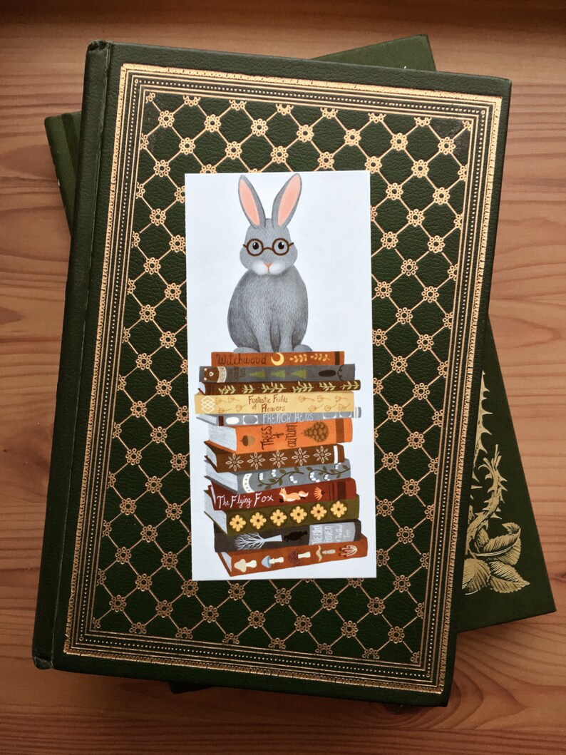 rabbit on books bookmark image 1